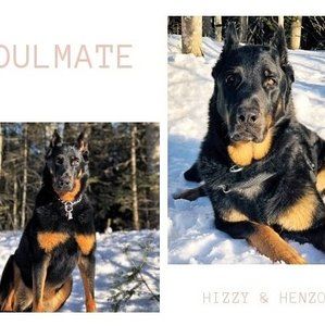 Meet your Posher, Isabelle aumond